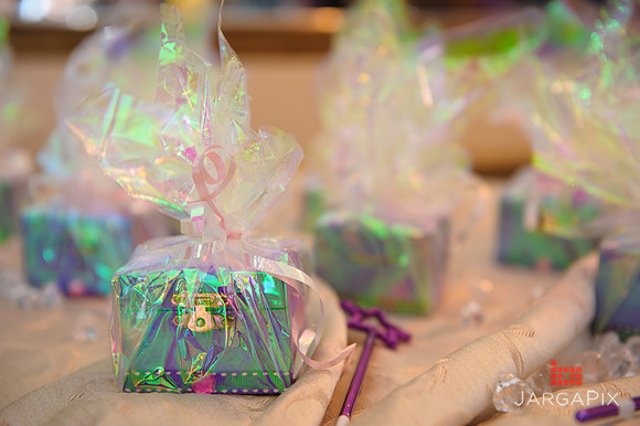 Sophia_Rabah_1st Birthday-080
