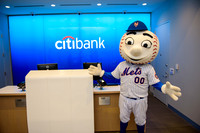 Soho_Exp_Citi_Williamsburg_Mr_Met_6-20-2017_218