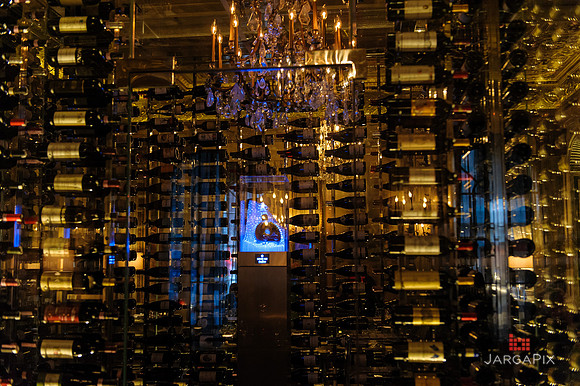 Soho_Exp_Remy_Martin_LXIII_New_York_Palace5-7-2014-015