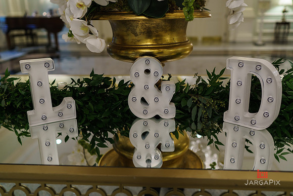Domenico_Lauren_Wedding_0231