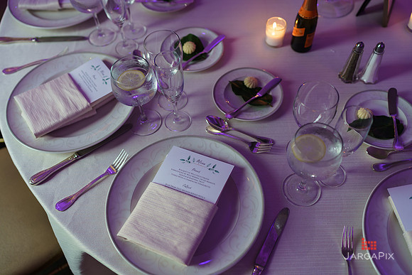Domenico_Lauren_Wedding_0673