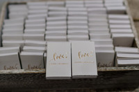 Domenico_Lauren_Wedding_0229