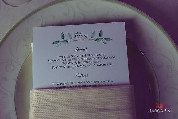 Domenico_Lauren_Wedding_0669