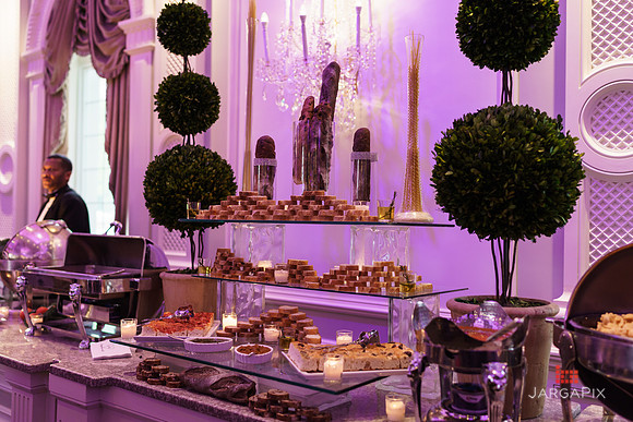 Domenico_Lauren_Wedding_0661