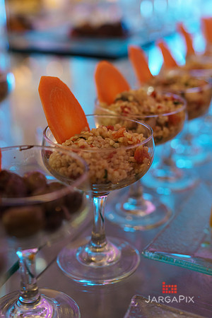 Domenico_Lauren_Wedding_0665