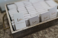 Domenico_Lauren_Wedding_0228