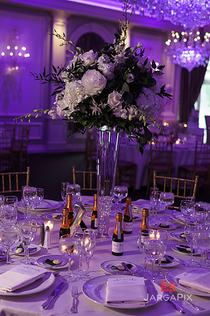 Domenico_Lauren_Wedding_0668