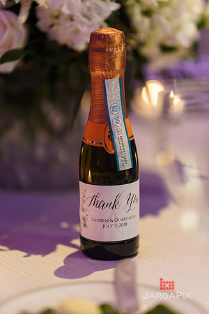 Domenico_Lauren_Wedding_0681