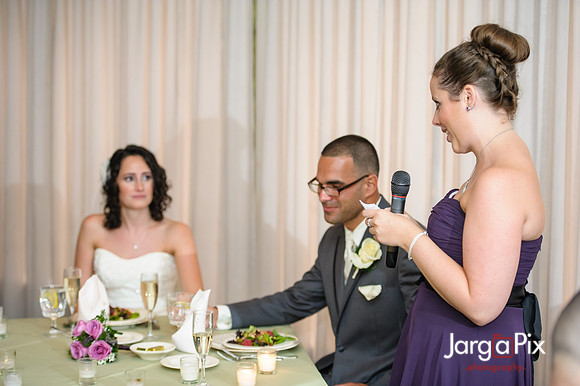 Chris_Stephanie_Messina_Wedding-1357