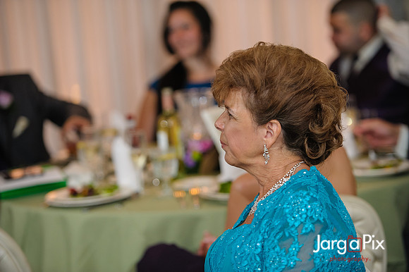 Chris_Stephanie_Messina_Wedding-1379