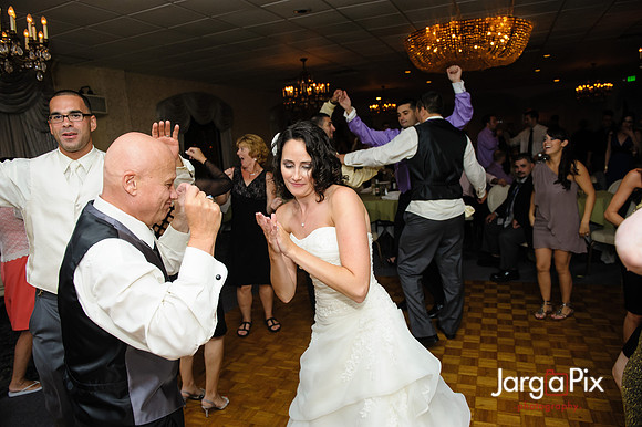 Chris_Stephanie_Messina_Wedding-2186