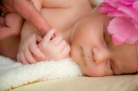 Sofia_Marie_Nuccio_Newborn_Shoot-060