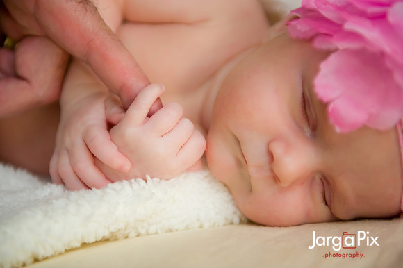 Sofia_Marie_Nuccio_Newborn_Shoot-060