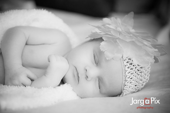 Sofia_Marie_Nuccio_Newborn_Shoot-065-2