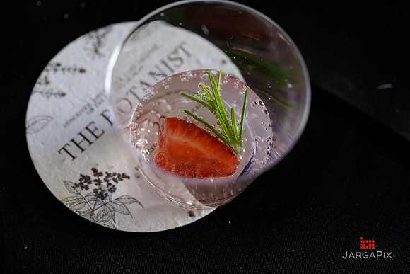 Soho_Botanist_Gin_Hudson_Valley_Festival-091