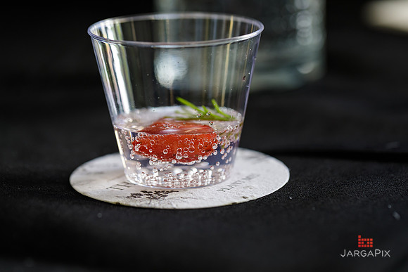 Soho_Botanist_Gin_Hudson_Valley_Festival-088