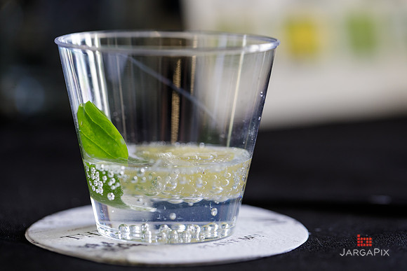 Soho_Botanist_Gin_Hudson_Valley_Festival-070