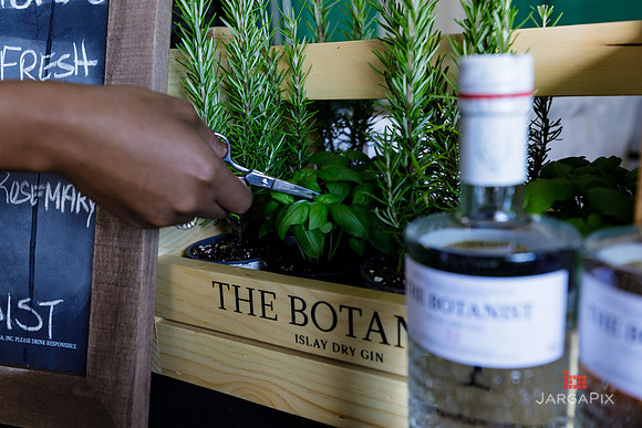 Soho_Botanist_Gin_Hudson_Valley_Festival-045