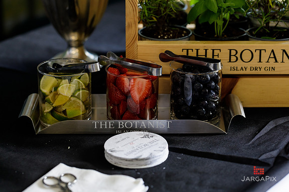 Soho_Botanist_Gin_Hudson_Valley_Festival-016