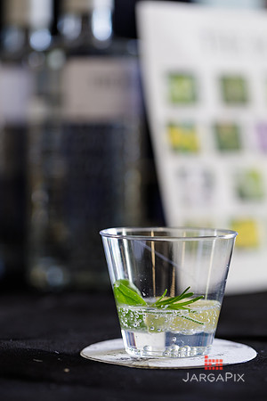Soho_Botanist_Gin_Hudson_Valley_Festival-072