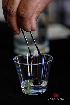 Soho_Botanist_Gin_Hudson_Valley_Festival-051