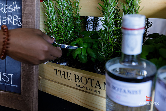 Soho_Botanist_Gin_Hudson_Valley_Festival-044