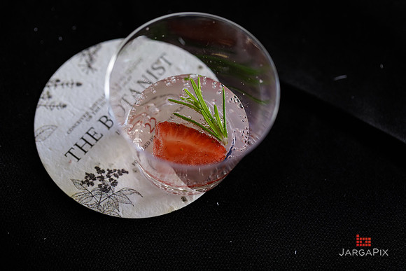 Soho_Botanist_Gin_Hudson_Valley_Festival-090