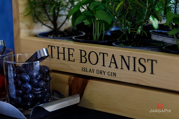 Soho_Botanist_Gin_Hudson_Valley_Festival-082