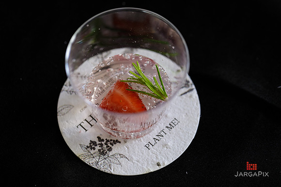 Soho_Botanist_Gin_Hudson_Valley_Festival-089