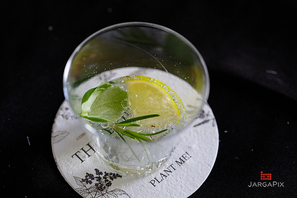 Soho_Botanist_Gin_Hudson_Valley_Festival-071