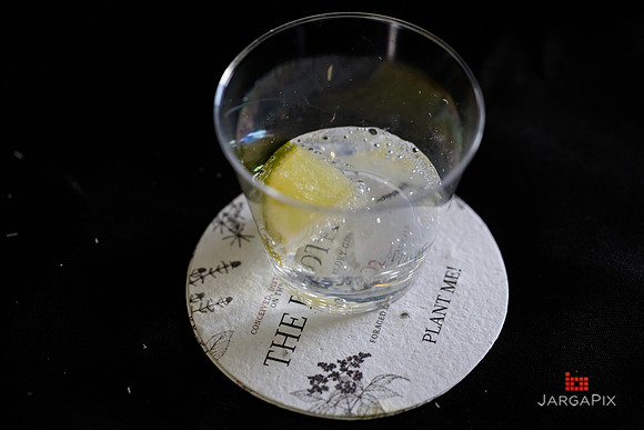 Soho_Botanist_Gin_Hudson_Valley_Festival-069