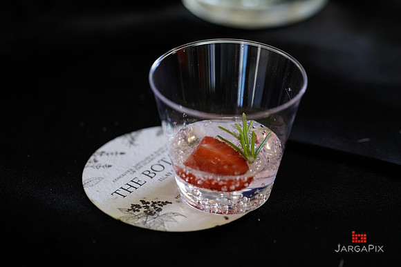 Soho_Botanist_Gin_Hudson_Valley_Festival-092