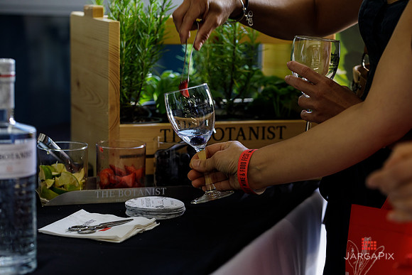 Soho_Botanist_Gin_Hudson_Valley_Festival-076