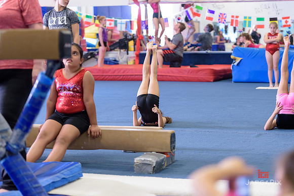 ENA_Gymnastics_Olympics_2016-047