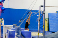 ENA_Gymnastics_Olympics_2016-015