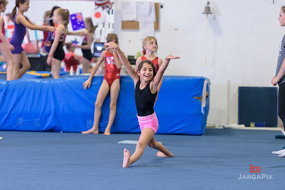 ENA_Gymnastics_Olympics_2016-058