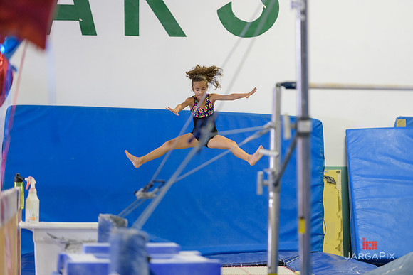 ENA_Gymnastics_Olympics_2016-005