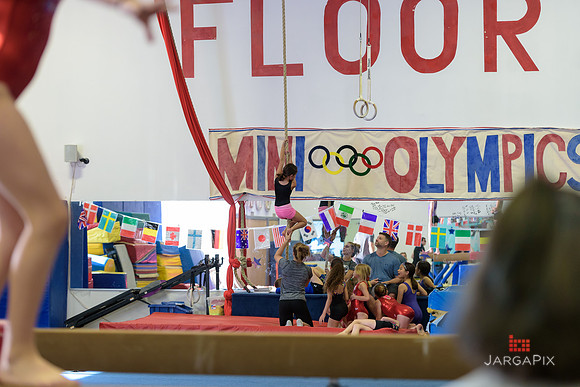 ENA_Gymnastics_Olympics_2016-061