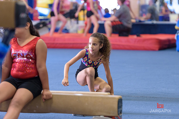 ENA_Gymnastics_Olympics_2016-048