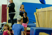 ENA_Gymnastics_Olympics_2016-016