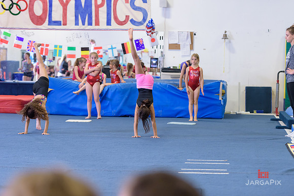 ENA_Gymnastics_Olympics_2016-028