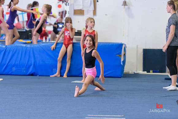 ENA_Gymnastics_Olympics_2016-059