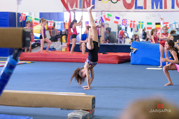 ENA_Gymnastics_Olympics_2016-036