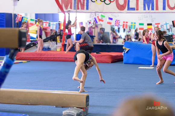 ENA_Gymnastics_Olympics_2016-037