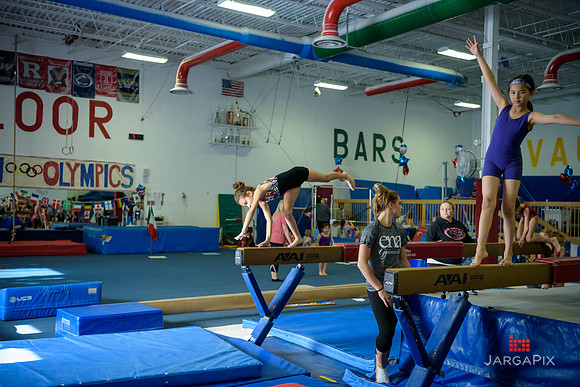 ENA_Gymnastics_Olympics_2016-091