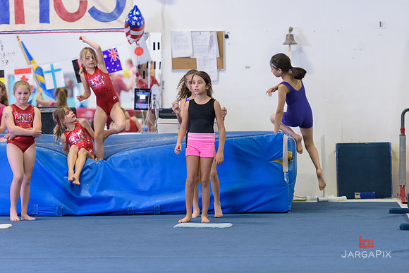 ENA_Gymnastics_Olympics_2016-020