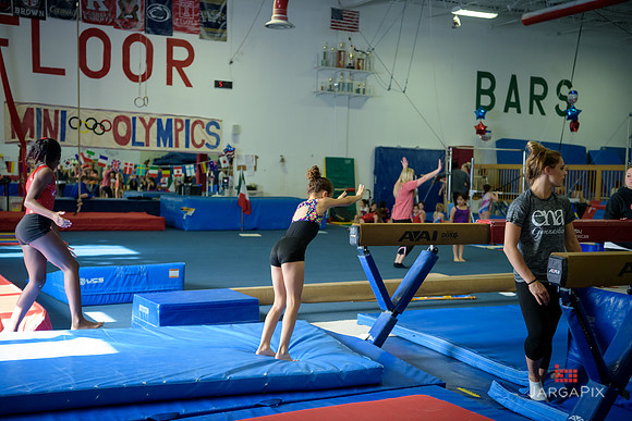 ENA_Gymnastics_Olympics_2016-096
