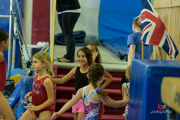 ENA_Gymnastics_Olympics_2016-017