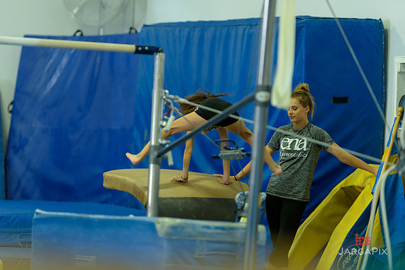 ENA_Gymnastics_Olympics_2016-115