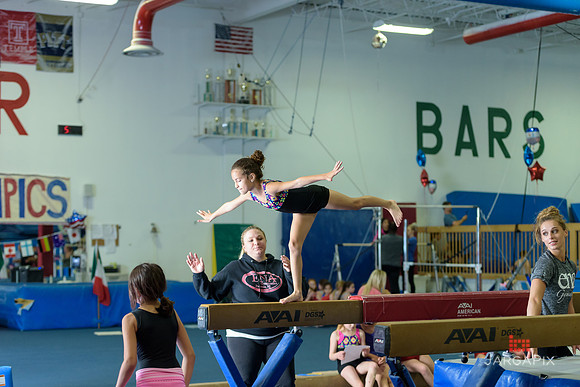 ENA_Gymnastics_Olympics_2016-076